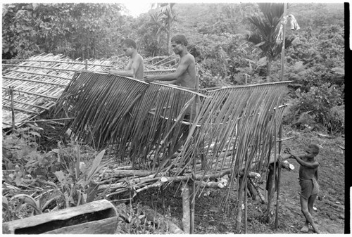 Building the gwelagwela speaking platform for the mortuary feast