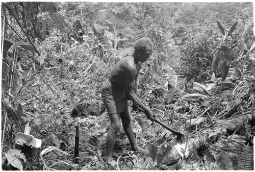 Man working in garden