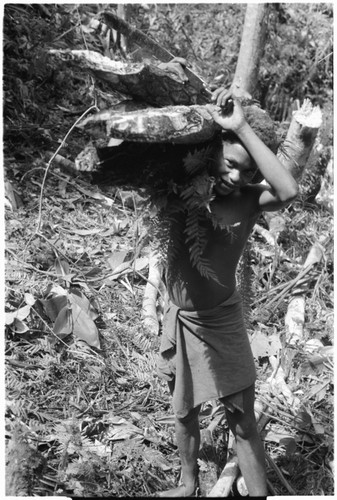 Ngadaaba'e, 'Elota's younger son, working in garden