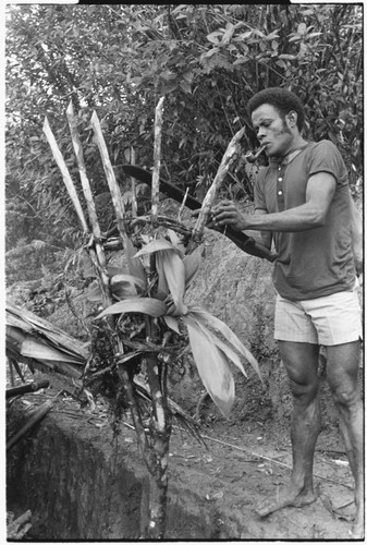 Semu Siori working on katee'au