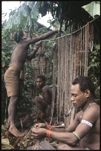 Elota tying up shell money portions to return to contributors to his mortuary feasts