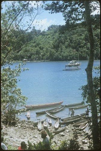 Canoes by the shore