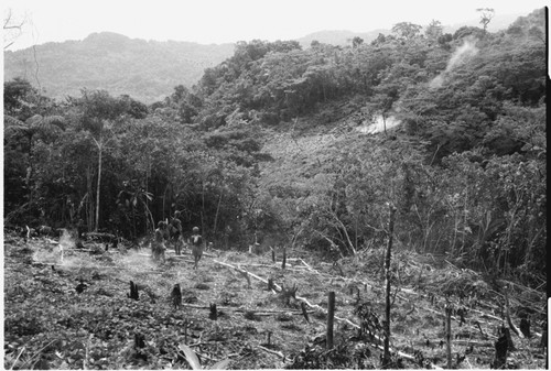 Burning new gardens above Sinalagu Harbour