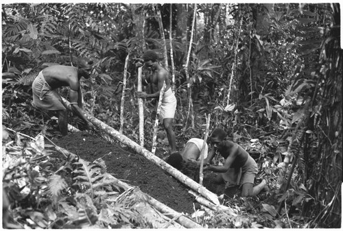 Digging a grave