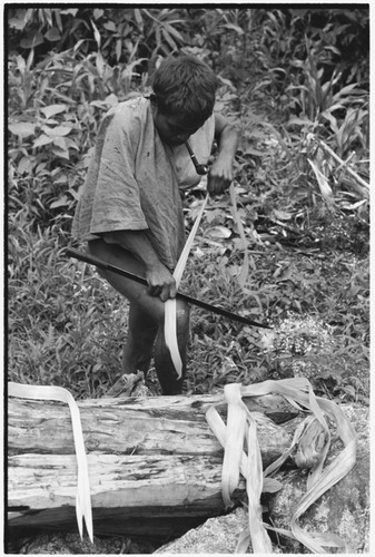 Moruka stripping mamalarula bark for making plaited wa'i bags