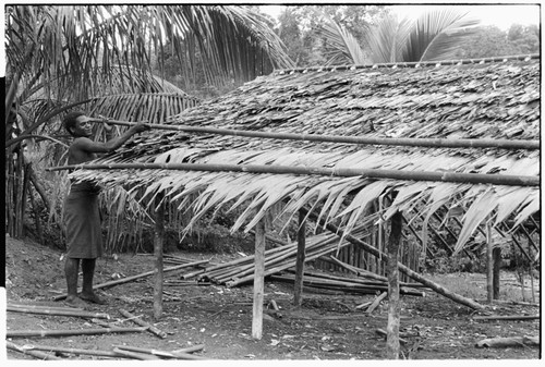 Putting bamboo poles across new thatch