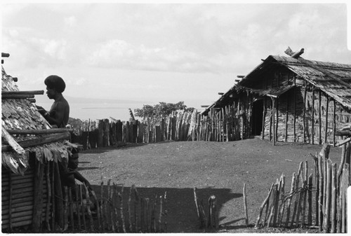 A Kwaio clearing, probably at a higher altitude