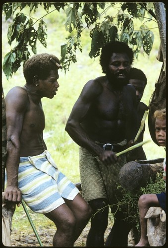 Man playing 'o'o slitgong, while other men sing in style to accompany mao dancing