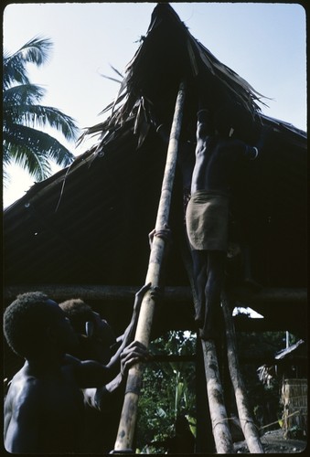 Men working on the ridge piece of house thatching, and putting it on the roof