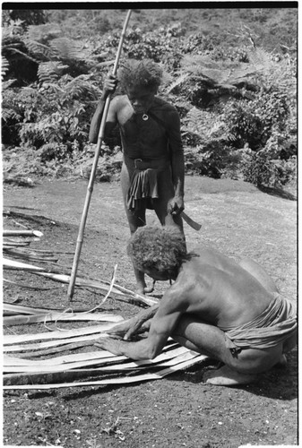 Splitting of bark to make the container to carry the finished taro and coconut pudding for presentation, and the making of the container