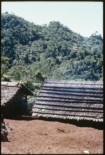 Shelters for pigs, and hillside with hamlet in background