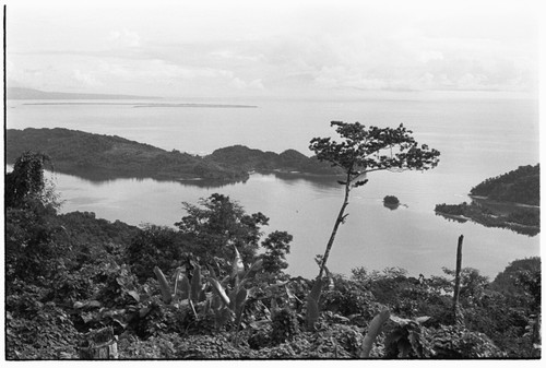 Sinalagu Harbour