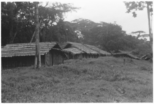 Houses at Ngarinaasuru, for different groups from the bush