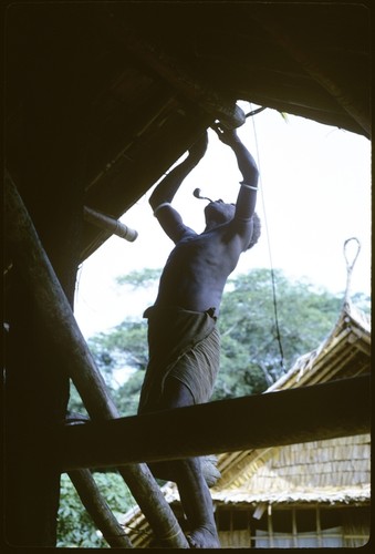 Men working on the ridge piece of house thatching, and putting it on the roof