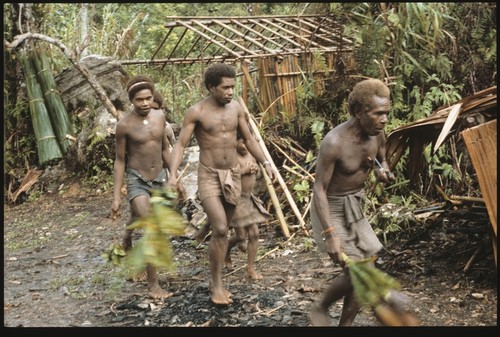 Maenaa'adi and his older brother Dangeabe'u, and young men entering clearing with cordyline on way to men's house