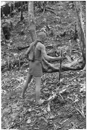 Man planting taro