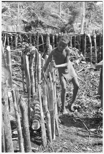 Eleabata fencing tobacco lot of his own