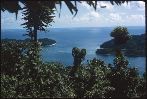 Sinalagu Harbour from Ngarinaasuru