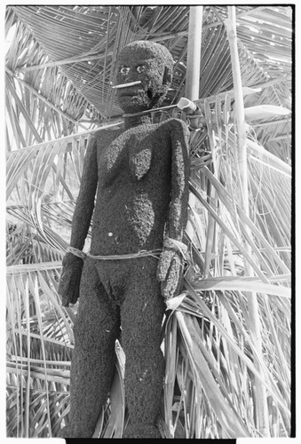 Fernwood 'ea female figure sculpted by Arimae of Furi'ilae, 1979