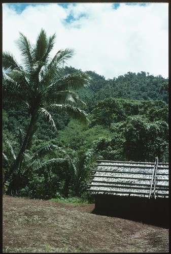 Menstrual house in lower part of the clearing