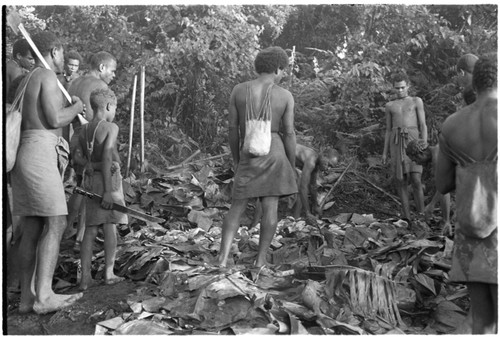 Men preparing leaf oven for the pudding