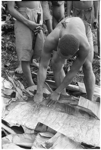 Unwrapping pudding to be eaten as part of desacralization connected with end of mourning for deceased Gooboo, the Ga'enaafou priest