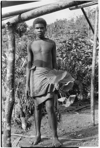 Boy by house frame, holding taro plant