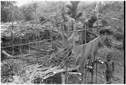 Building the gwelagwela speaking platform for the mortuary feast