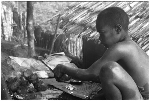 Boy roasting some taro