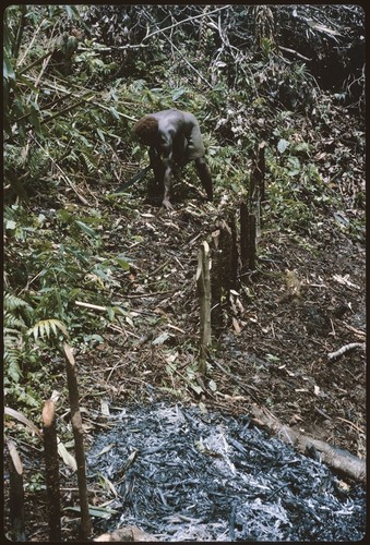 Woman working in a new garden