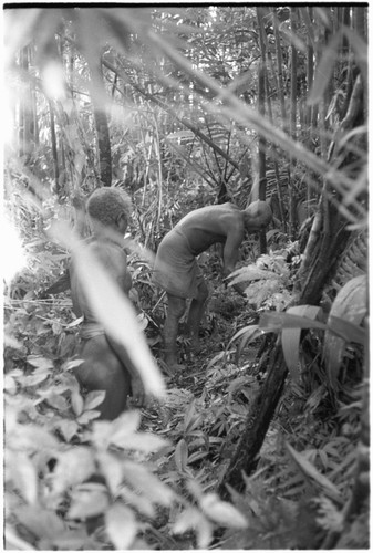 Burial of corpse Gooboo, priest of Ga'enaafou