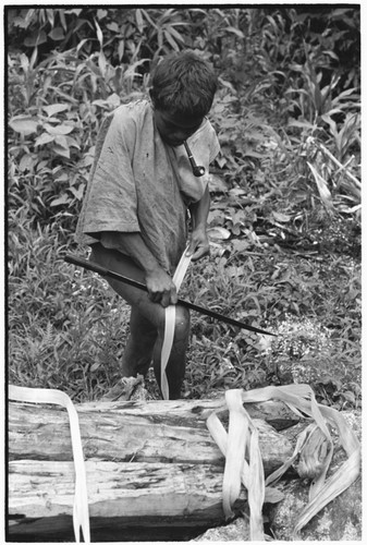 Moruka stripping mamalarula bark for making plaited wa'i bags