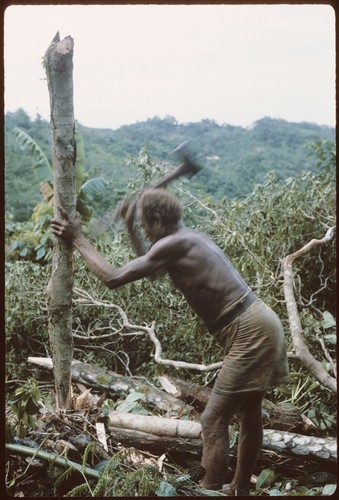 Man working in garden