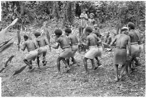 Dancers enter the furi'isango dance ground. Bald man directing them on far right is Alefo