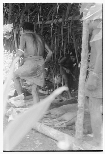 Taualea, feasting shelter, ritual