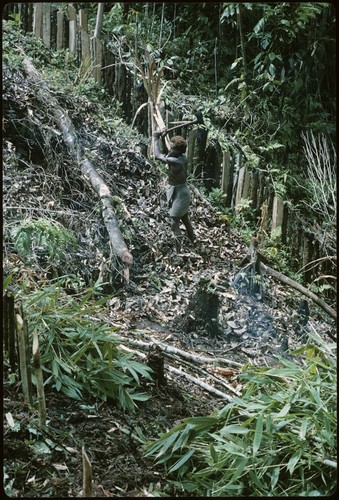 Woman working in a new garden