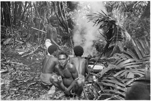 Building fire to cook pig and bake taro; note temporary leaf canopy over fire to keep off rain