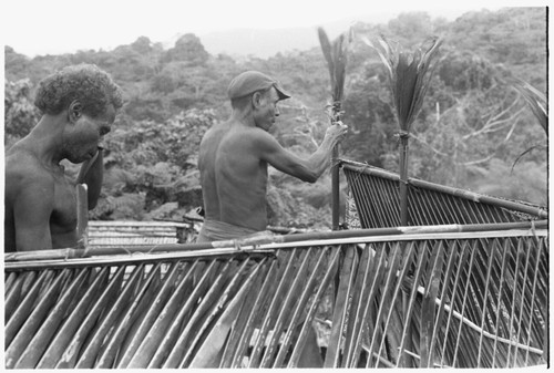 Consecration of feasting platform with bespelled cordyline, here being tied to the platform