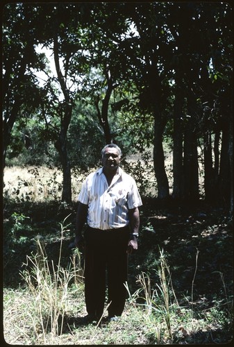 Portrait of a man with forest in background