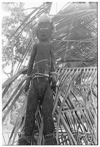Fernwood 'ea male figure sculpted by Arimae of Furi'ilae, 1979