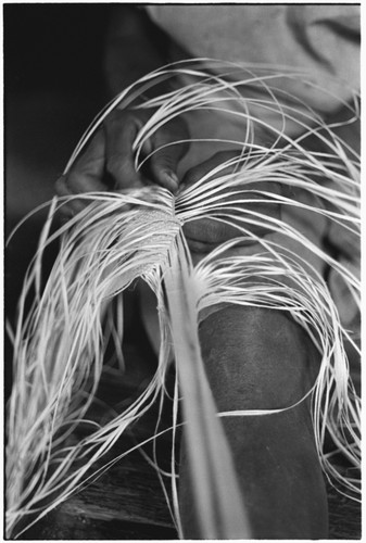 Closeup of Moruka of Ga'enaafou, 'Elota's daughter, plaiting a bag