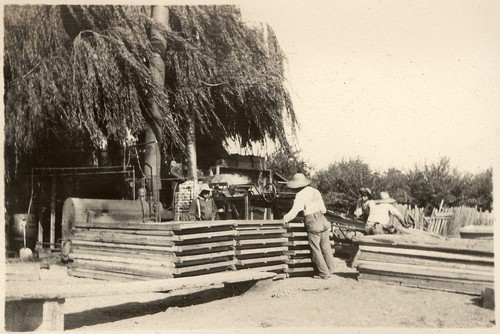 Drying trays and agricultural laborers at Coyote Ranch