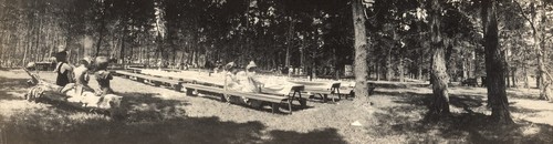 Picnic area in the park at Pebble Beach