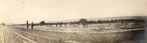 Polhemus family members viewing fruit drying at Coyote Ranch