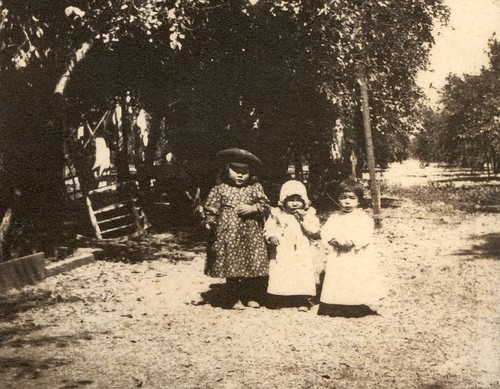 Unidentified toddlers in an orchard
