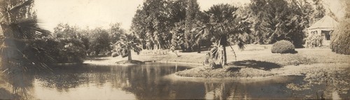 The Lake at New Almaden