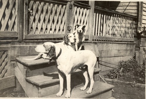 Winty, Dot and Ted