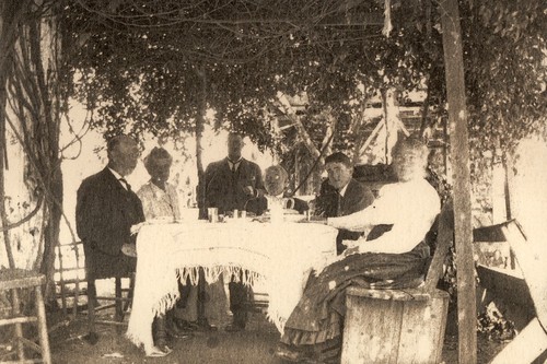 Lunch under a vine-covered arbor