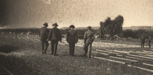 Fruit drying field at Coyote Ranch