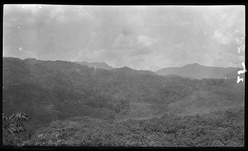 Canopy landscape in mountains of Central Province; gardens in center